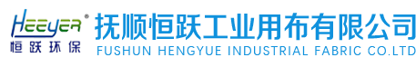 Fushun Xiulin Chemical Co., Ltd