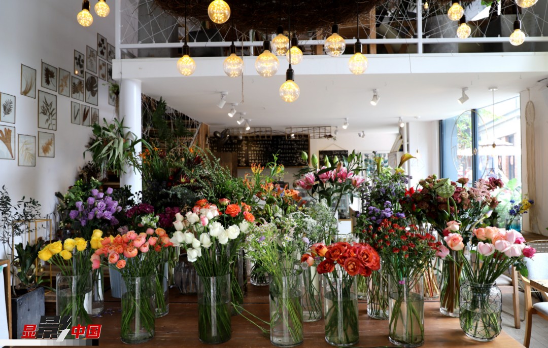 從決定從事鮮花這個行業(yè)以來，王黎媛花了很多的時間和精力去學習花藝，不斷提高自己的專業(yè)水平。而在小店的選址、裝修和布置方面，王黎媛同樣花費了不少心思，“希望我的小店和鮮花一樣，是有溫度的、鮮活的?！绷硗?，小小的花店也藏著大大的夢想，“我們云南鮮花很多，但真正做成品牌的卻很少，這是非常可惜的。我希望把我的店做成品牌，不光能扎根昆明，還能落地到云南的其他城市，甚至省外的城市?！眻D為王黎媛的花店一角。新華網 周亞平/攝 念新洪/文